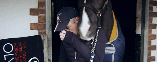saferion:  “Valegro owes us nothing, yet he’s given us everything. It’s just so touching that he wil
