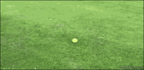 tastefullyoffensive:  Some say he’s still sliding…