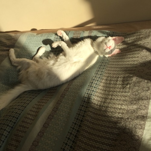pangur-and-grim:I carried an old woman’s groceries so she gave me a sparkly bracelet that makes my c