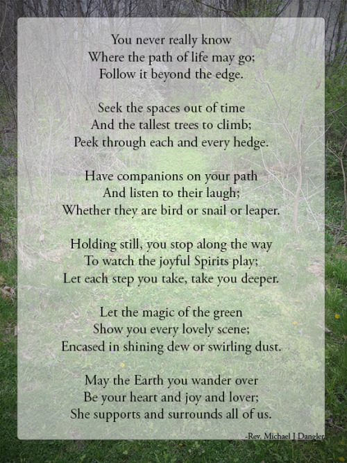 chronarchy:A short prayer for the path in the forest. This prayer spoke to me again today.