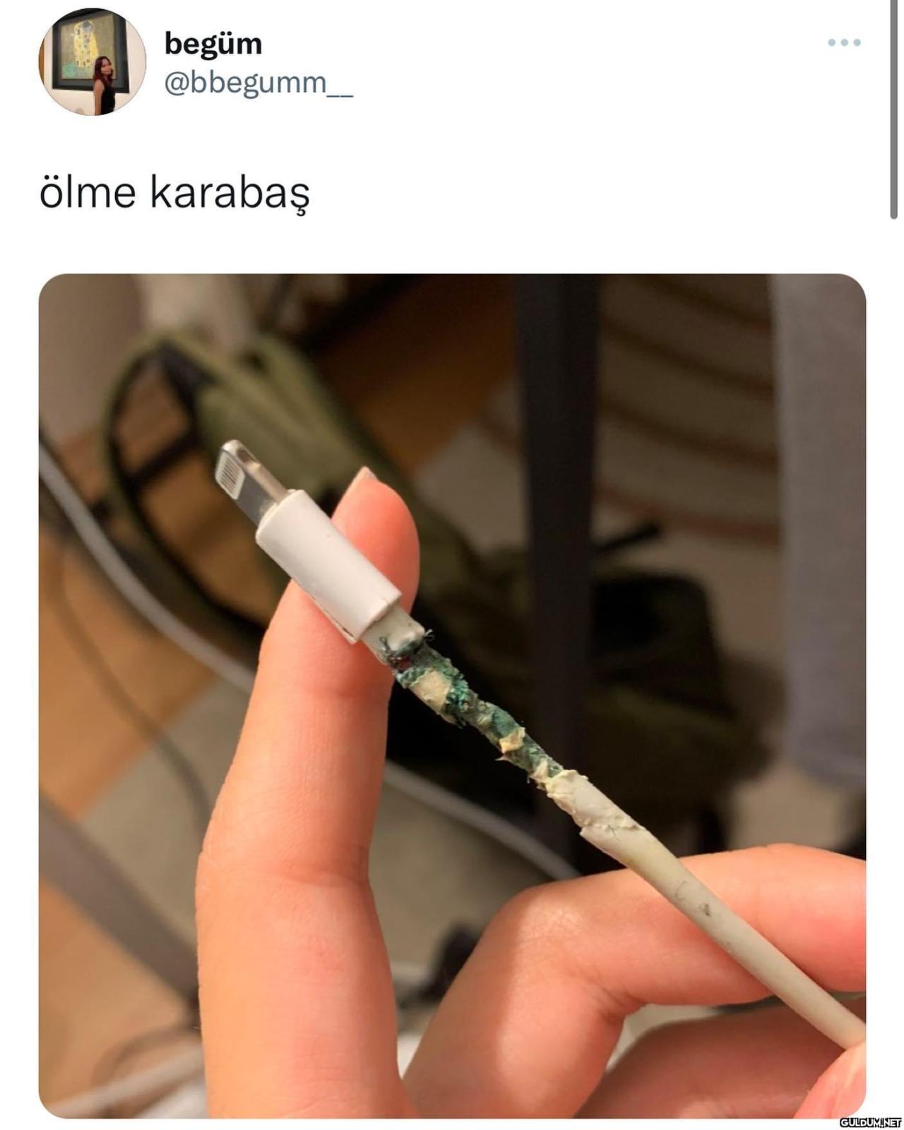 karabasim    begüm...