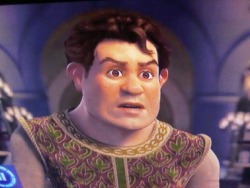 lovebynumbrs:  my sister just pointed out that ezra koenig looks like human shrek,,, i am so uncomfortable???? 