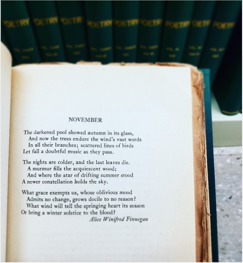 uwlittlemags: November Alice Winifred Finnegan Poetry November 1933 Vol. XLIII No. II