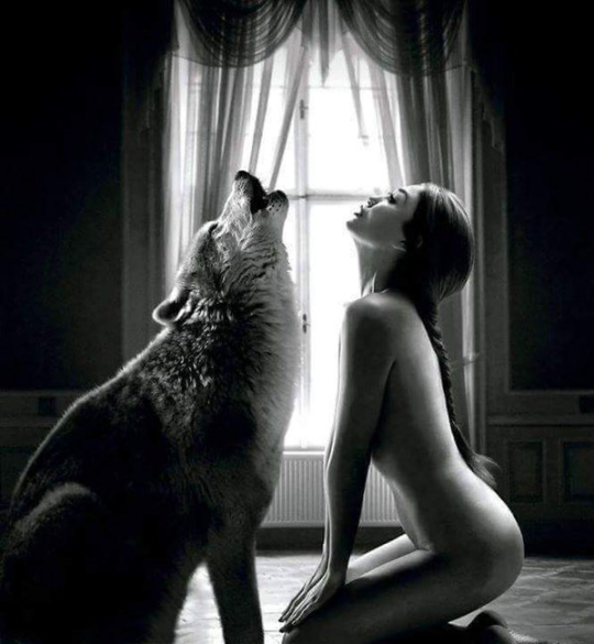Soul Sexual Alpha Wolf