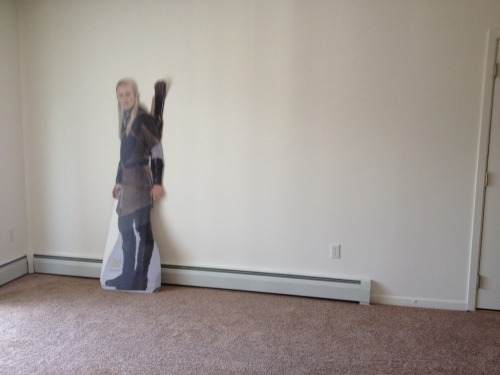 69kittykate69: justdrinktea: the only thing in our new apartment so far What else do u need tommyboy