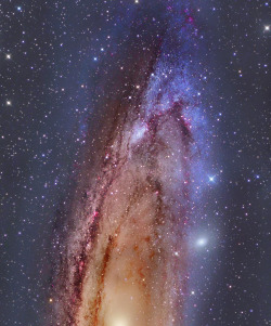    M31 (Andromeda) mosaic by Bill Snyder