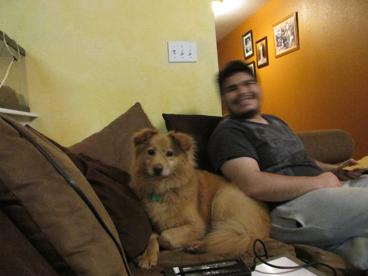 My dog Dexter (and my brother, please ignore him) o3oi’m not gonna ignore him bc