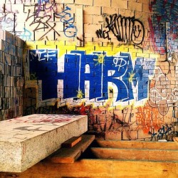 Skatepark Graffiti in Reading, PA 2012.  Photo by Gerardo Casanova