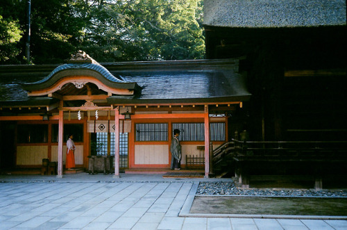 yasu19-67:Kodak GOLD200／大山祇神社