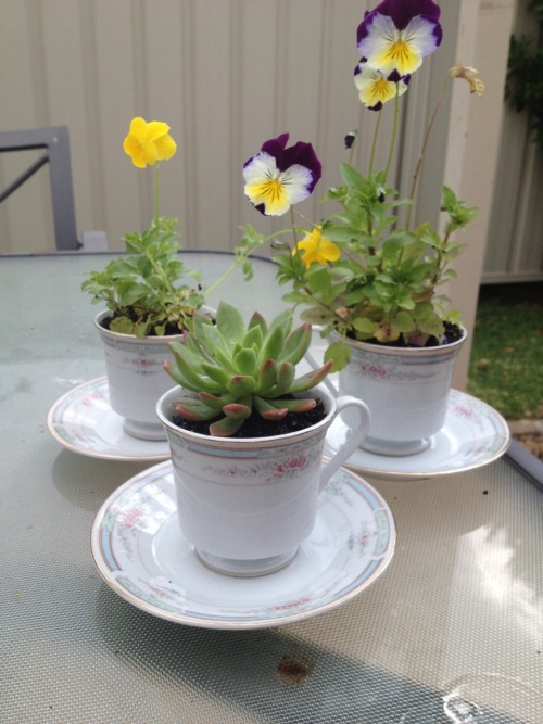 ririrabbit:13/3/15 - the teacup flowers I made for my best friends birthday! ☀️☁️