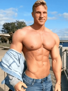 shreddedgifs:hello