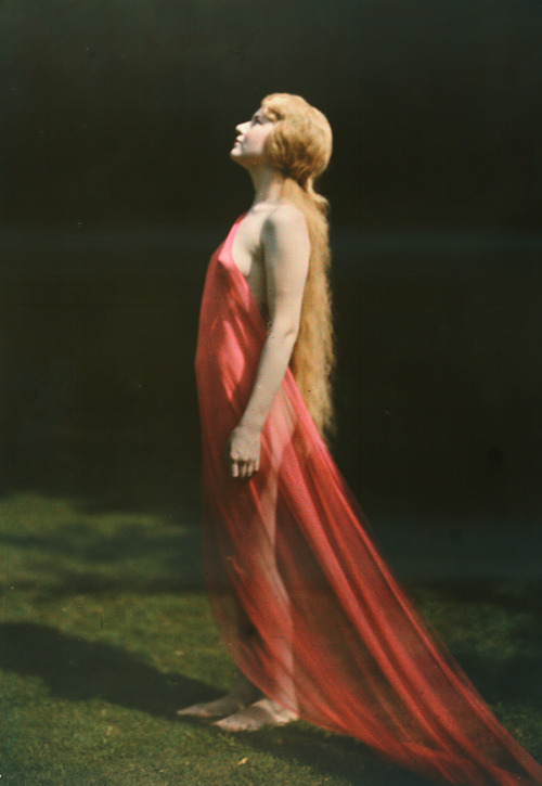 Portrait of a woman draped with red silk.Photograph by Franklin Price Knott, National Geographic