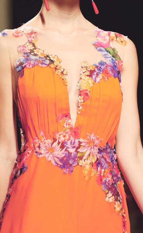 dissapparate:  up close and personal↳ alberta ferretti spring 2014 rtw 