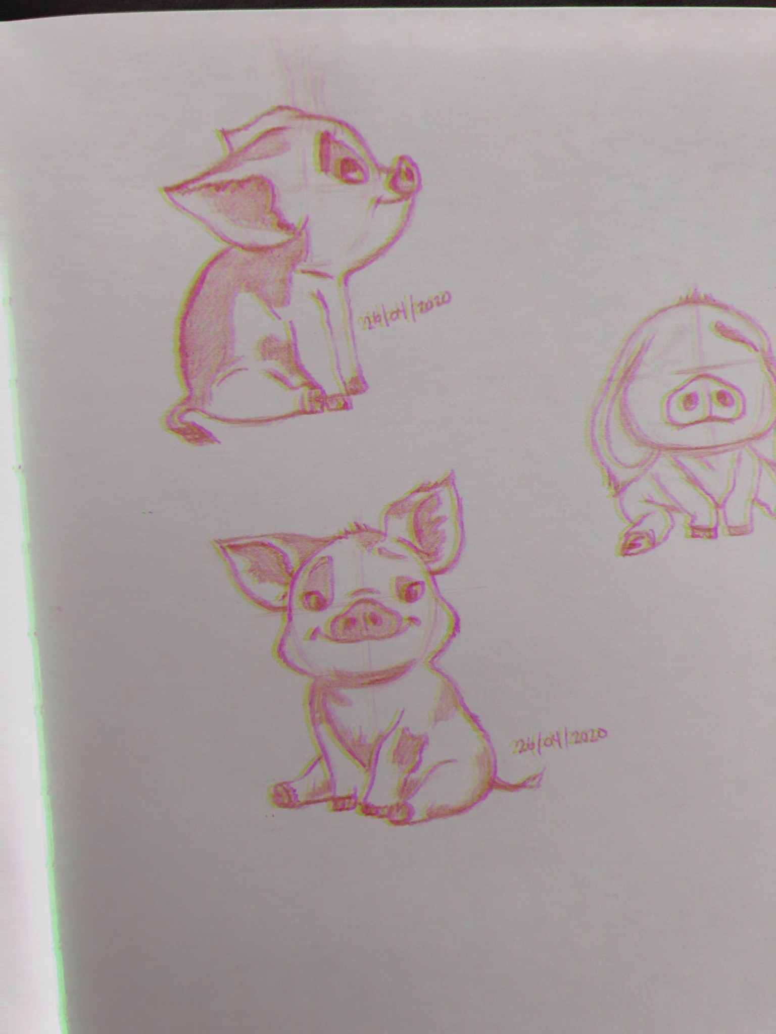 Moana Pig Explore Tumblr Posts And Blogs Tumgir Moana Pig Explore Tumblr Posts And Blogs Tumgir