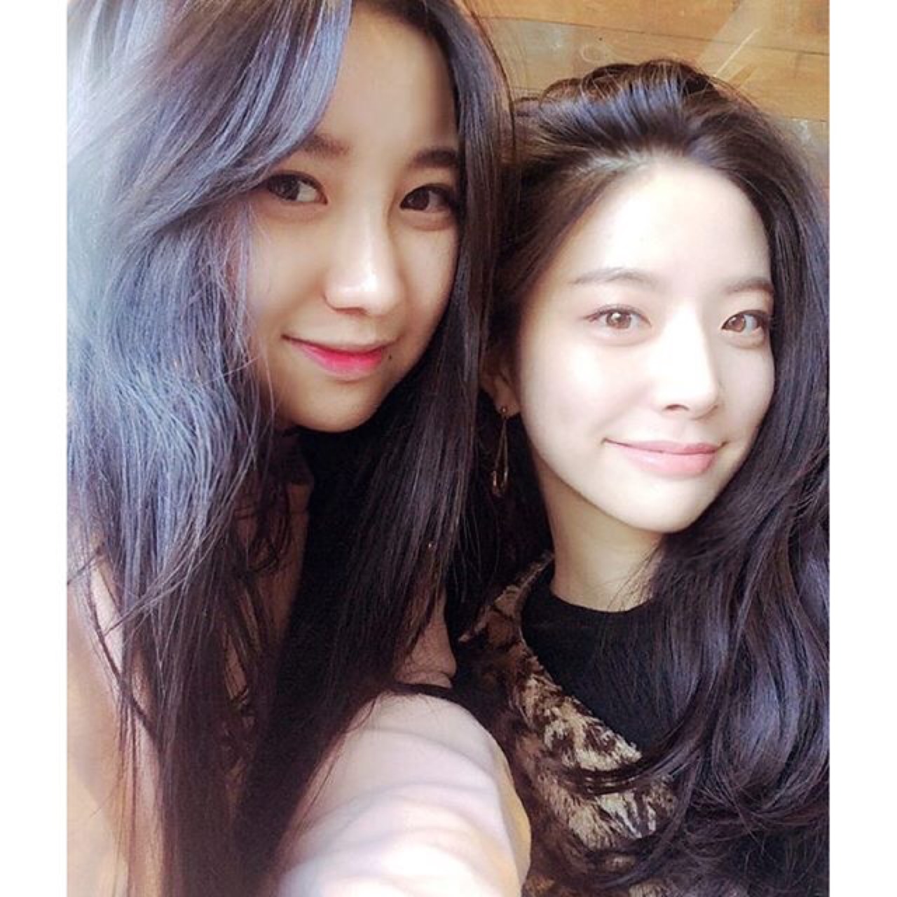 몸짱 매니아