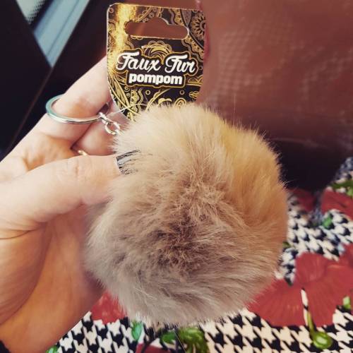 Furry pompom…or baby tribble?