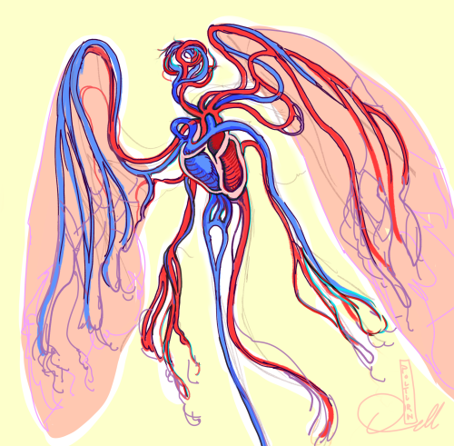 polturn:Cardiovascular system angel. 