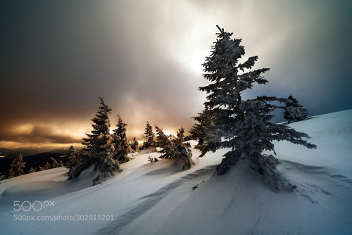 Remember yourself last winter by tenchinage