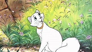 Disney Appreciation
