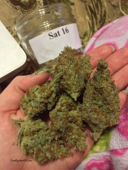 coralreefer420:  I had the opportunity to