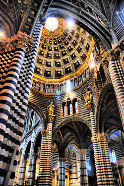  Siena Cathedral, Italy 