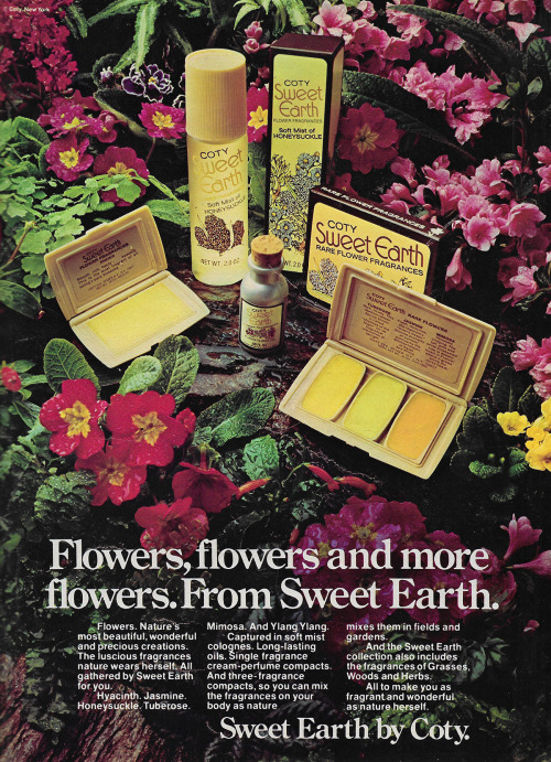 justseventeen:May 1975. ‘Flowers, flowers and more flowers. From Sweet Earth.’I wish I could go back