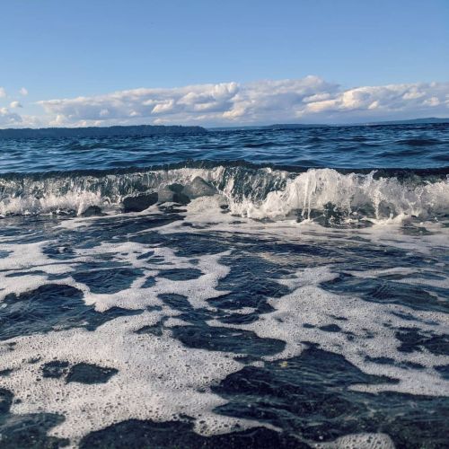 BEACH DAY swipe to see some slow mo sand fleas :3 . . . . . #pnwphotographer #pnwadventures #pnwarti