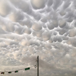 nevver:  Mammatus Cloudpocolypse