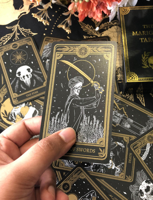 musterni-illustrates:The Marigold Tarot Classic and Gilded Gold Editions are both coming to my new s