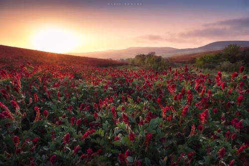 A sunset in the beautiful Ras Jbel, Tunisia.For more about Tunisia visit: i-love-tunisia.tumblr.com