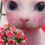 loveaboutyouj