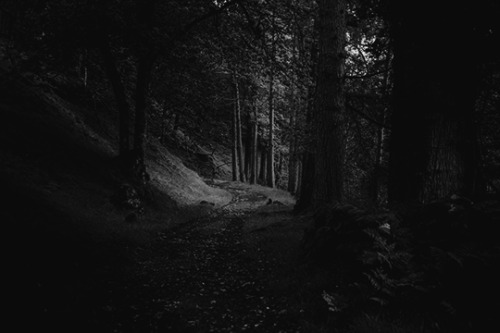 raised-from-the-grave:◆ Photography by: Alex Gorham◆ Found at: Unsplash.com◆ Original photo: here
