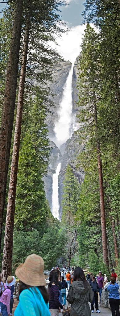 woodlandsouls:  Yosemite Falls (Upper &amp; Lower, Big Vertical Stitch) (by marcycaster)