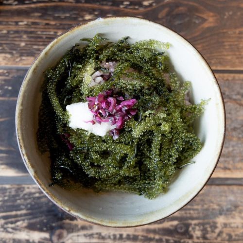goya 沖縄行きたいなぁ。 #goya #京都 #北白川 #ちゃんぷるー #いちゃりばちょーでー (Asian chample foods goya) https://www.instagram