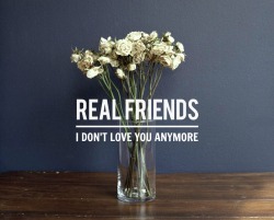 lettheoceantakemee:  Real Friends | I Don’t Love You Anymore 