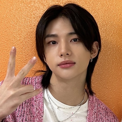 Hwang Hyunjin + Kim Seungmin Matching Icons/metadinhas.