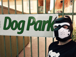 Pupmishka:  Averydirtydog:   Briefly Visited My Local Dog Park But Made Sure Not