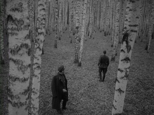 maxwellbul:    Ivan’s Childhood (1962), Director: Andrei Tarkovsky, DP: Vadim Yosov   