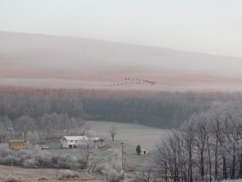 geopsych:Dreams of frost and geese, a holiday card for everyone!That extraordinary day.