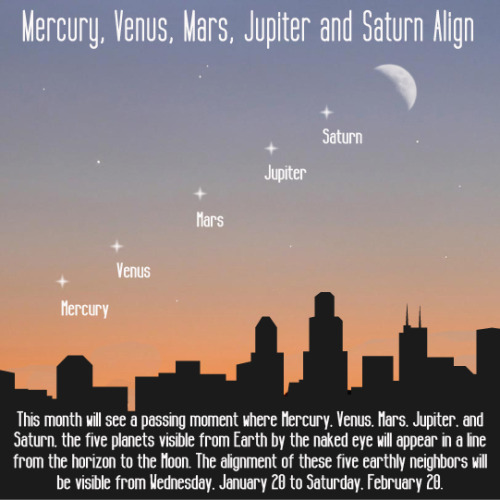wiccateachings: The solar system is all set to give a rare celestial show. Mercury, Venus, Saturn, M
