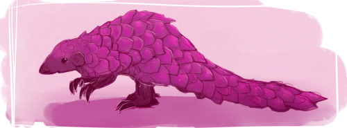 my party met emily and her crystal pangolin!