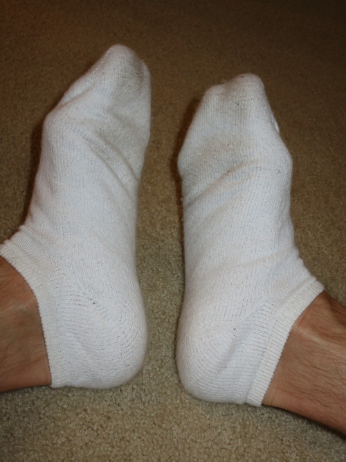 whitesocks10:  White Adidas No Show Socks! ำ. ุ worn. โ with a little TLC ;)