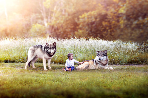 awesome-picz:  Photoghrapher Captures The Innocence Of Childhood By Photographing His Three Sons. 
