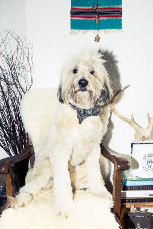 thecoveteur: I think we can all agree Walter has the ombre mop down pat. 