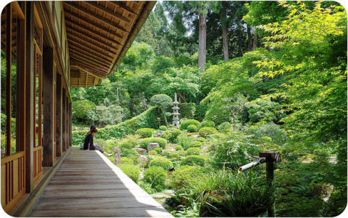 yasurau: Sanzenin Temple 三千院 by どこでもいっしょ on Flickr.