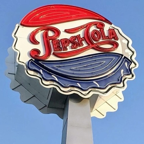 Its Me And My 0 C4lor1e Pepsi Against The World
