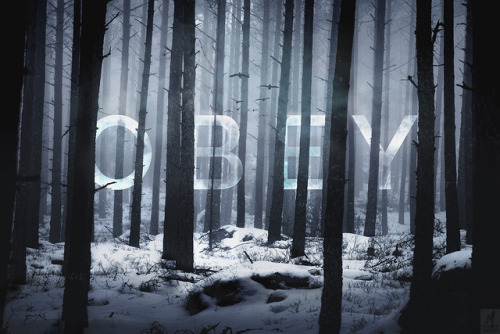 Obey The Forests&hellip;I always do, and wouldn´t dare to do otherwise.New photo and artwo