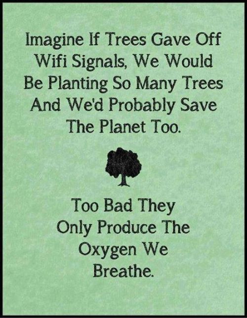 electricfunny:  I Funny Pictures