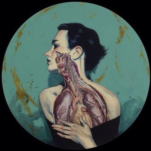 Fernando Vincente anatomical art.