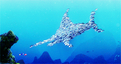 iamnevertheone:       I have to find my son, I have to tell him how old sea turtles are!      
